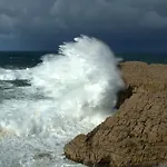 Santa Ana