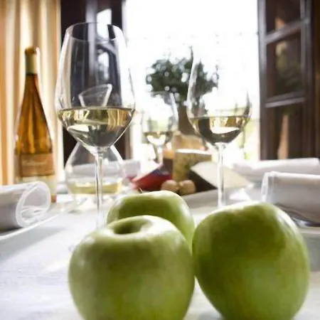 Santa Ana فندق 4*